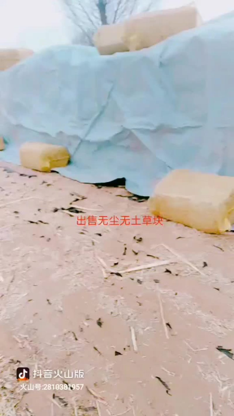 秸秆