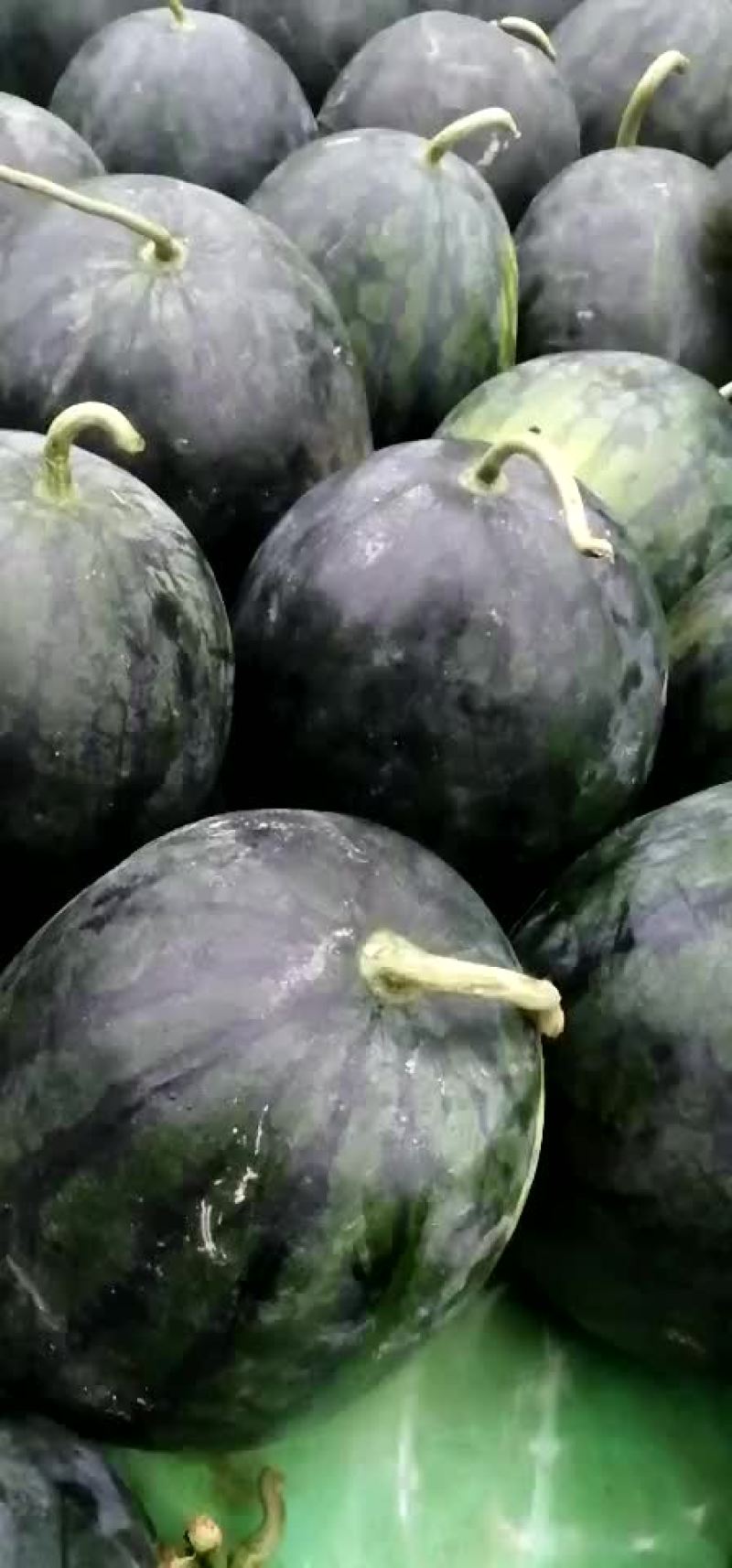 【推荐】麒麟王黄肉瓜果肉饱满如果有需要请联系:货源充足！