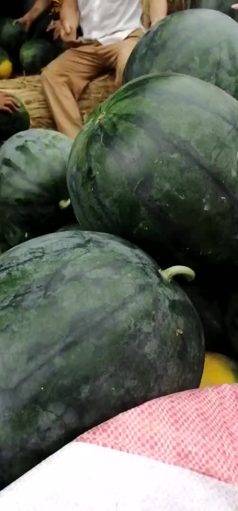 【推荐】麒麟王黄肉瓜果肉饱满如果有需要请联系:货源充足！