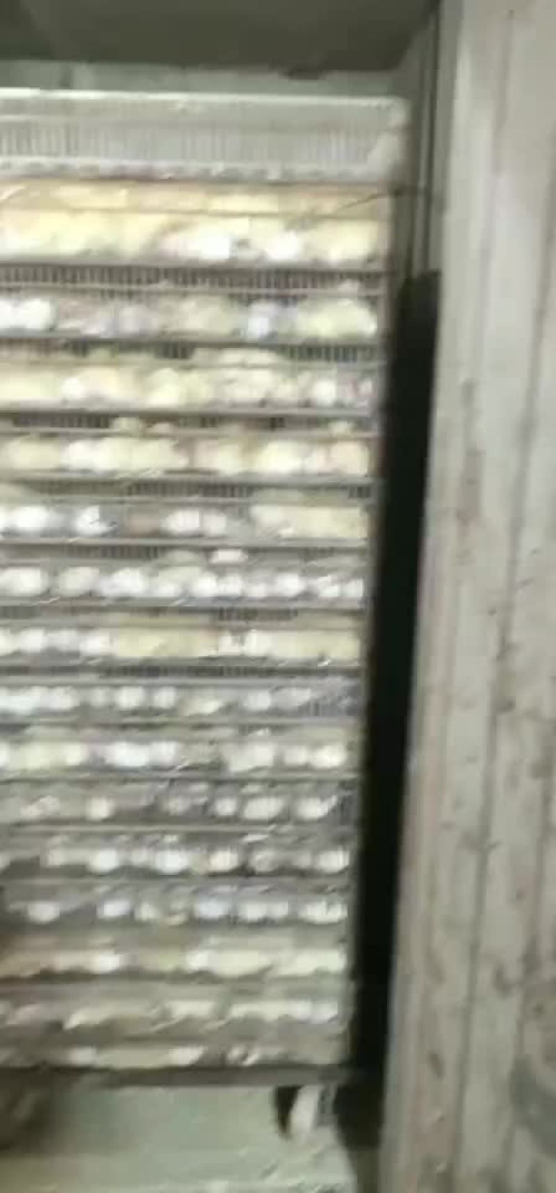 禽畜牧蛋肉
