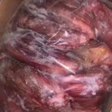 驴肉驴副产品