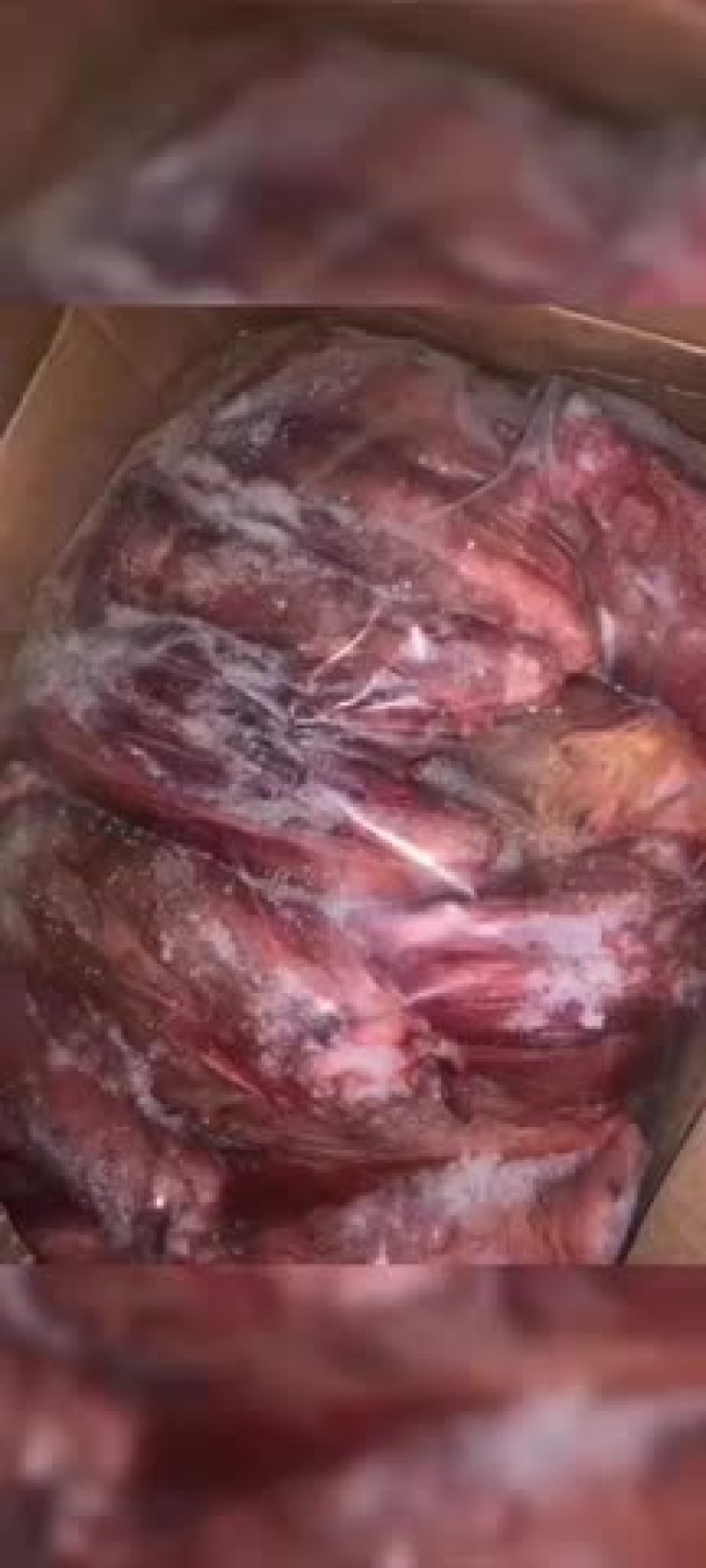 驴肉驴副产品