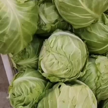 蔬菜