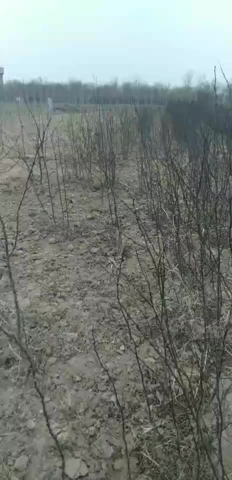 土地出租