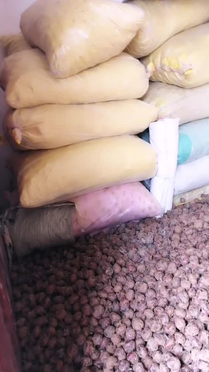 毛马蹄广西土特产清甜可口当水果非常的好吃。