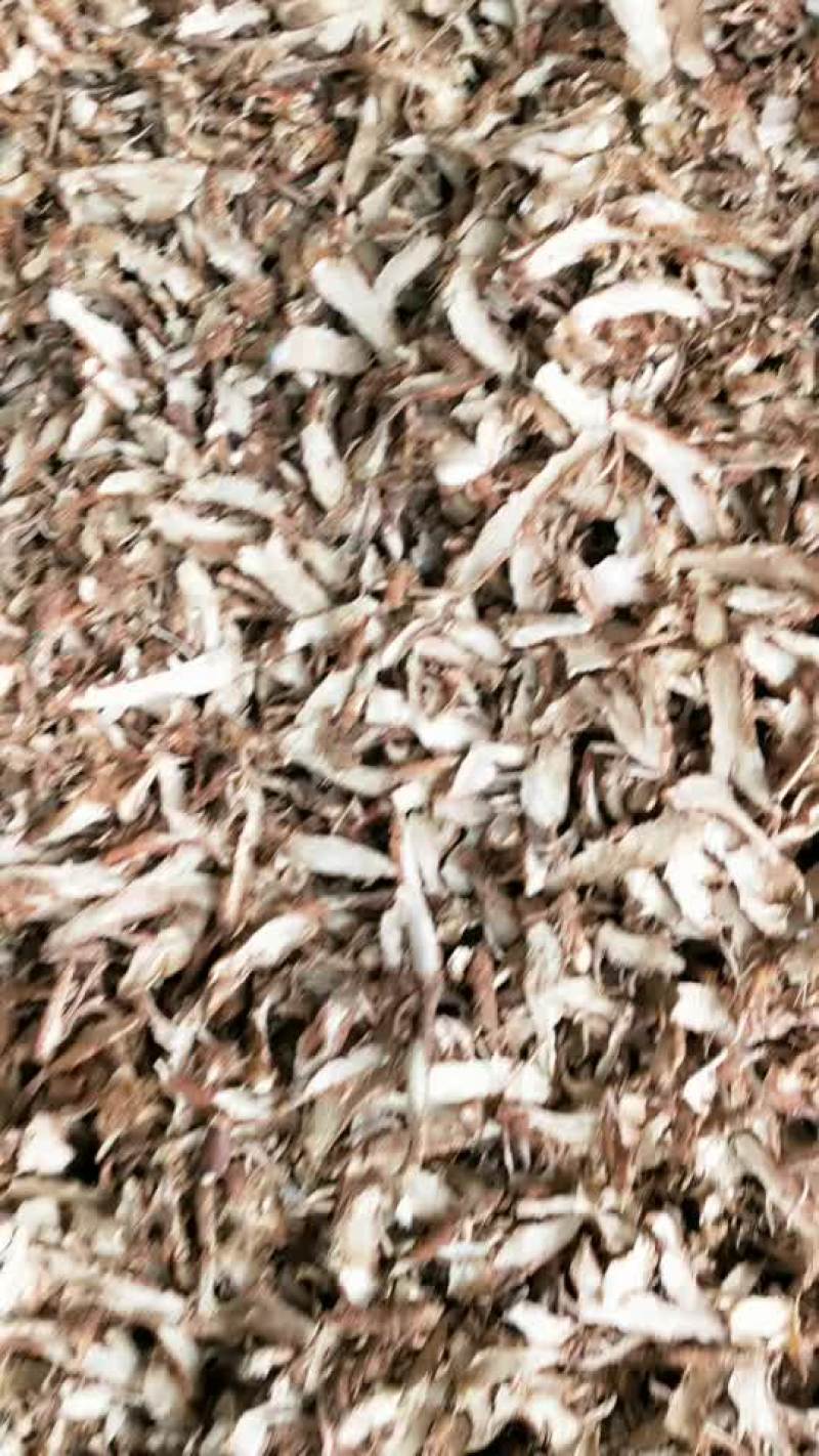 知母片