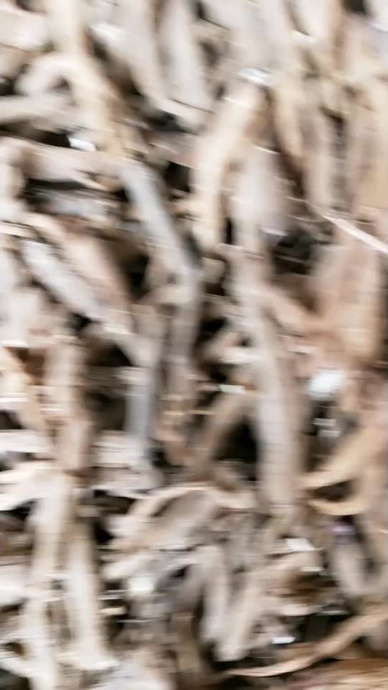 白芷货源充足，产地直发，诚信经营，欢迎客商来电