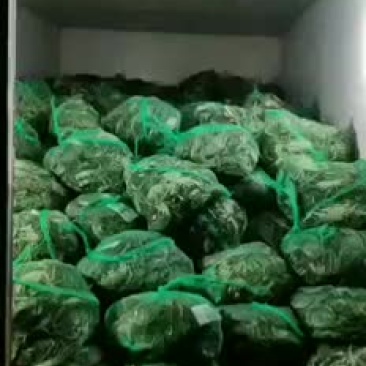 河蟹大量到货价格美丽
