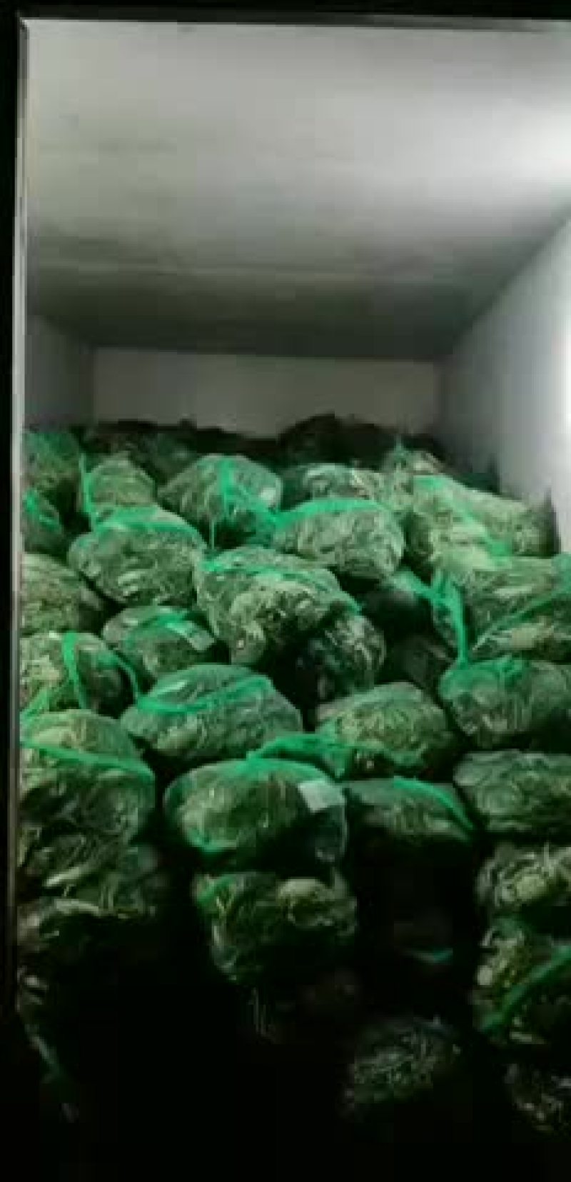 河蟹大量到货价格美丽