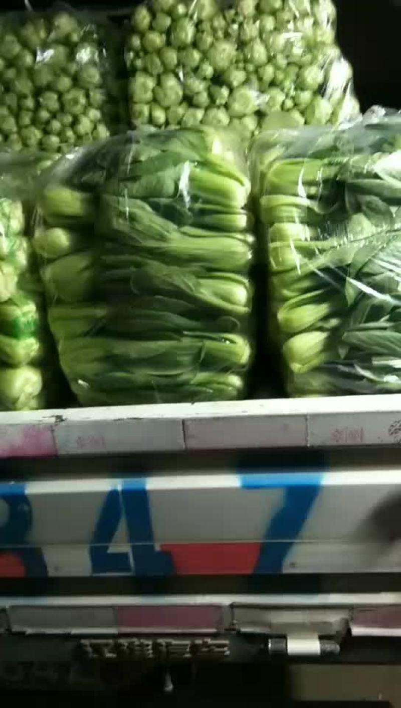 长年代办