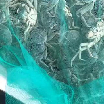 河蟹价格美丽