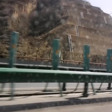 五角枫