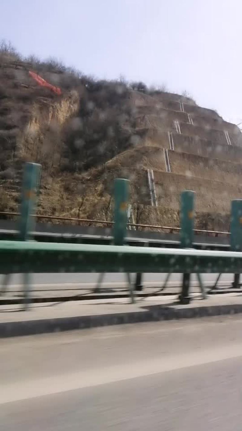 五角枫
