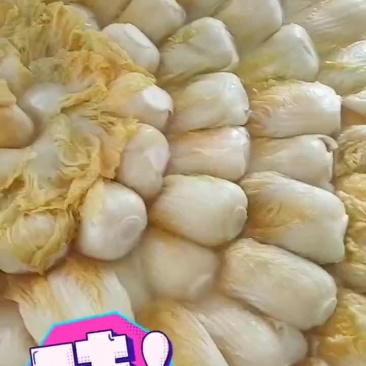 酸菜