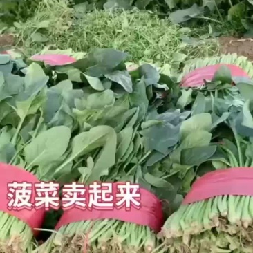 物美你廉