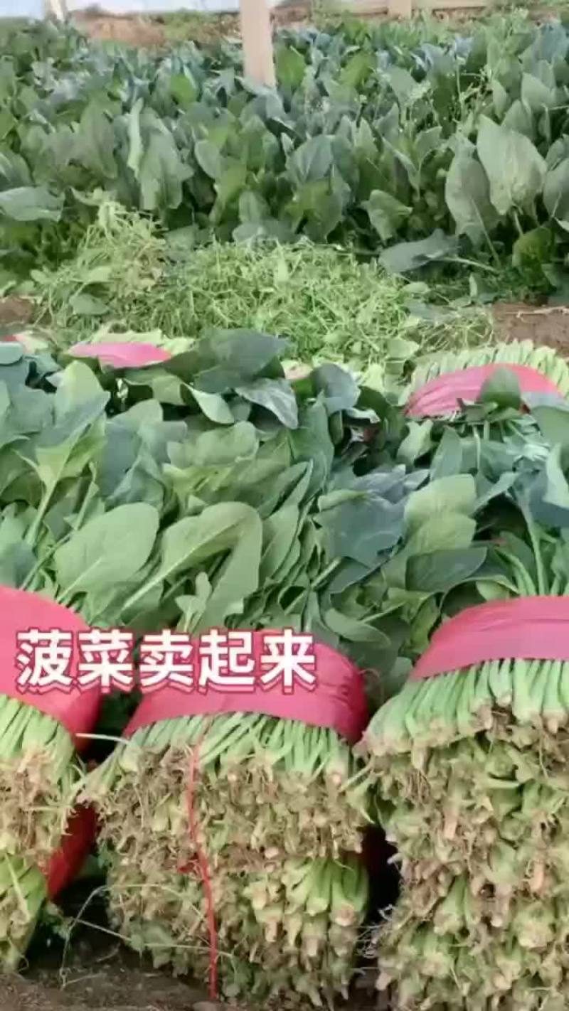 物美你廉