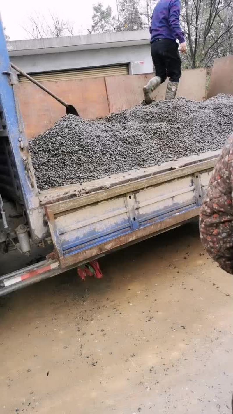 螺蛳