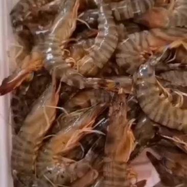 天然花虾