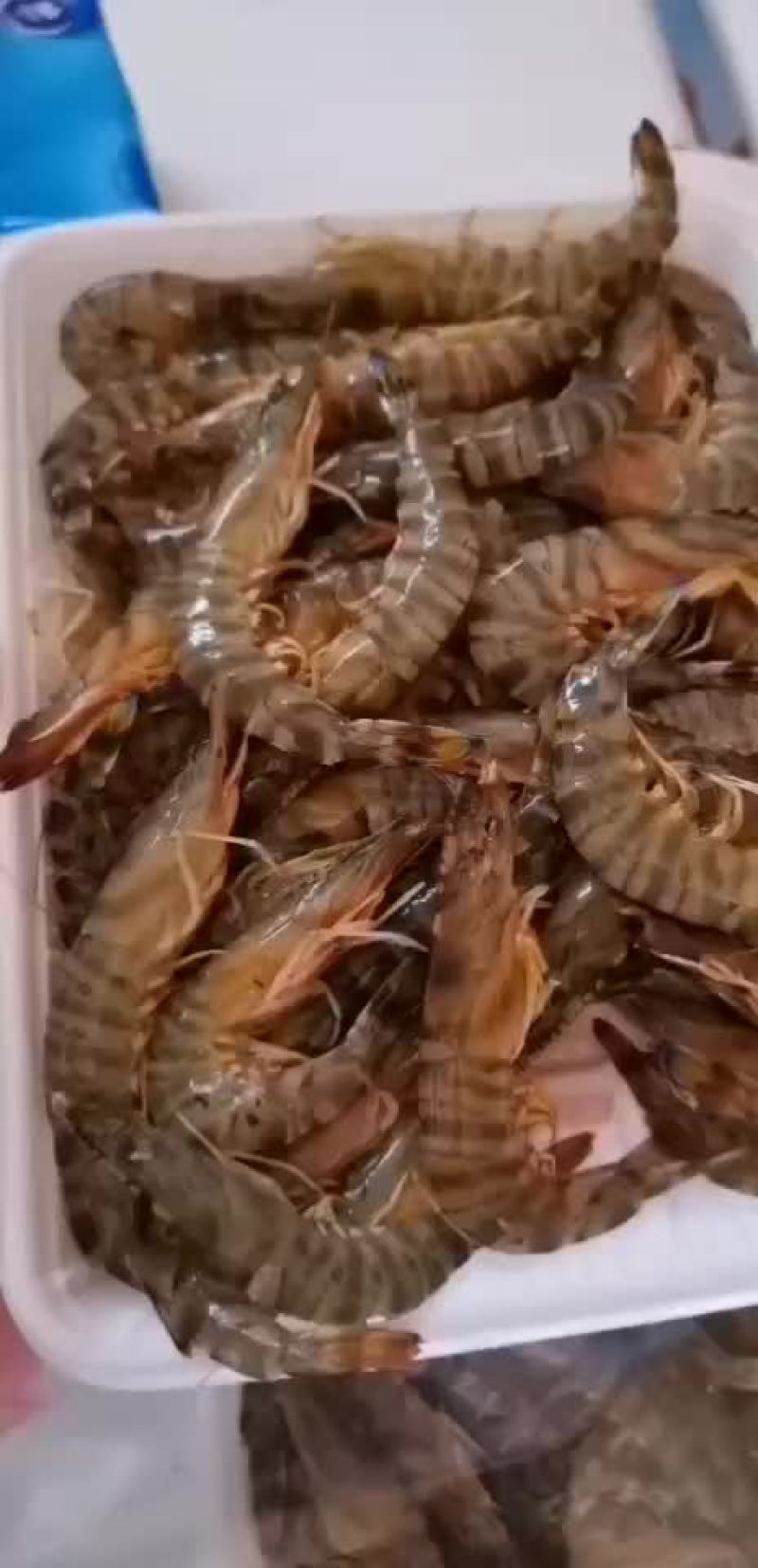 天然花虾