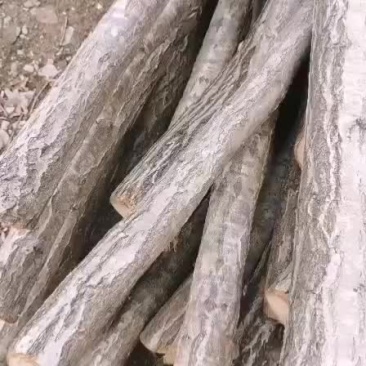柞木削