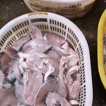 海鲜，马友鱼