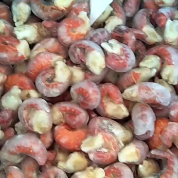 龙虾尾
