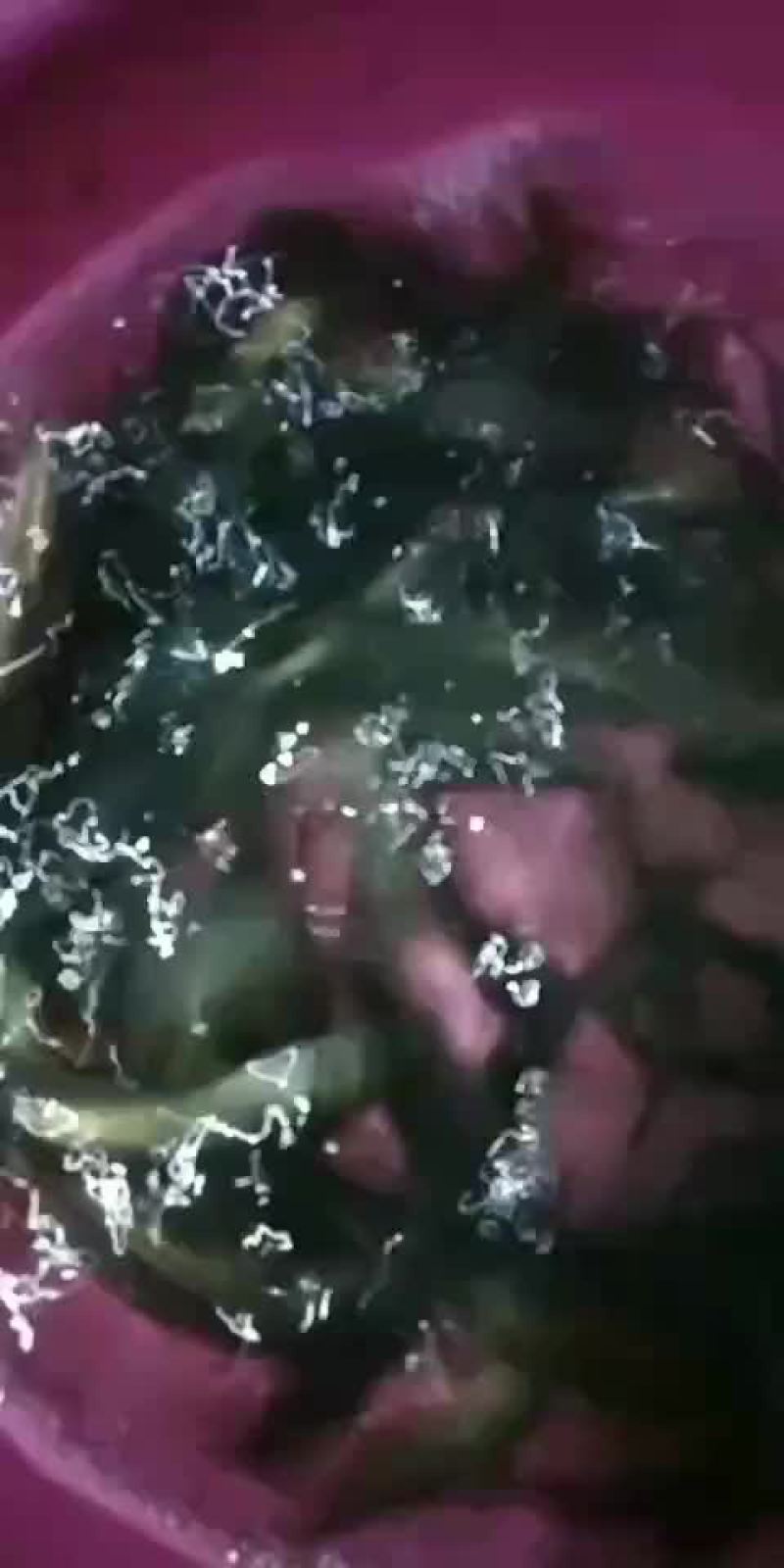南方优质大口鲶出售，欢迎新老客户来电订购
