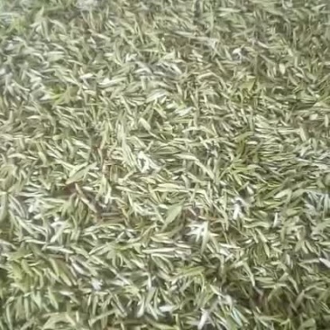 灰锅茶