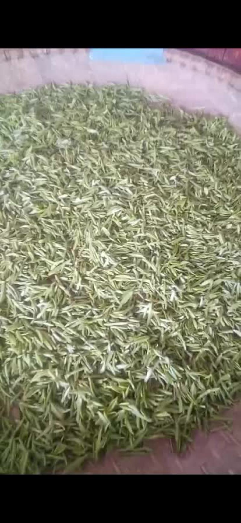灰锅茶