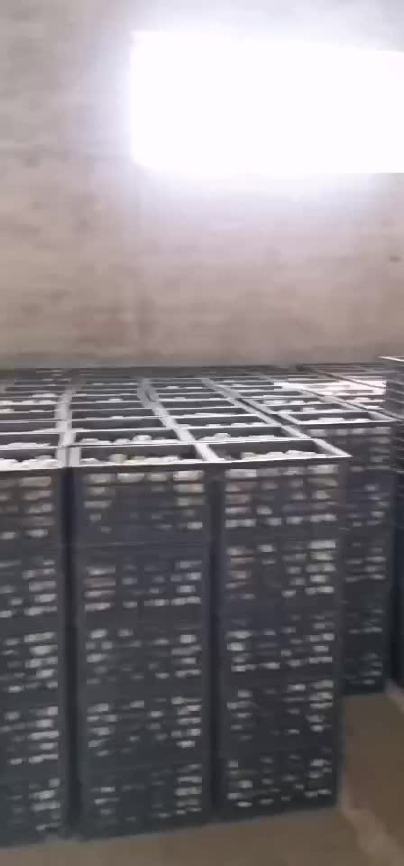 鸭蛋，大白皮鸭蛋，小白皮，