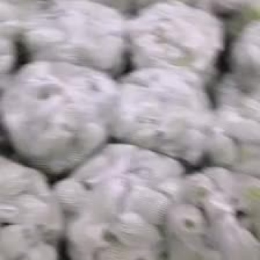 佛手瓜一手货源基地直供需要联系。。。