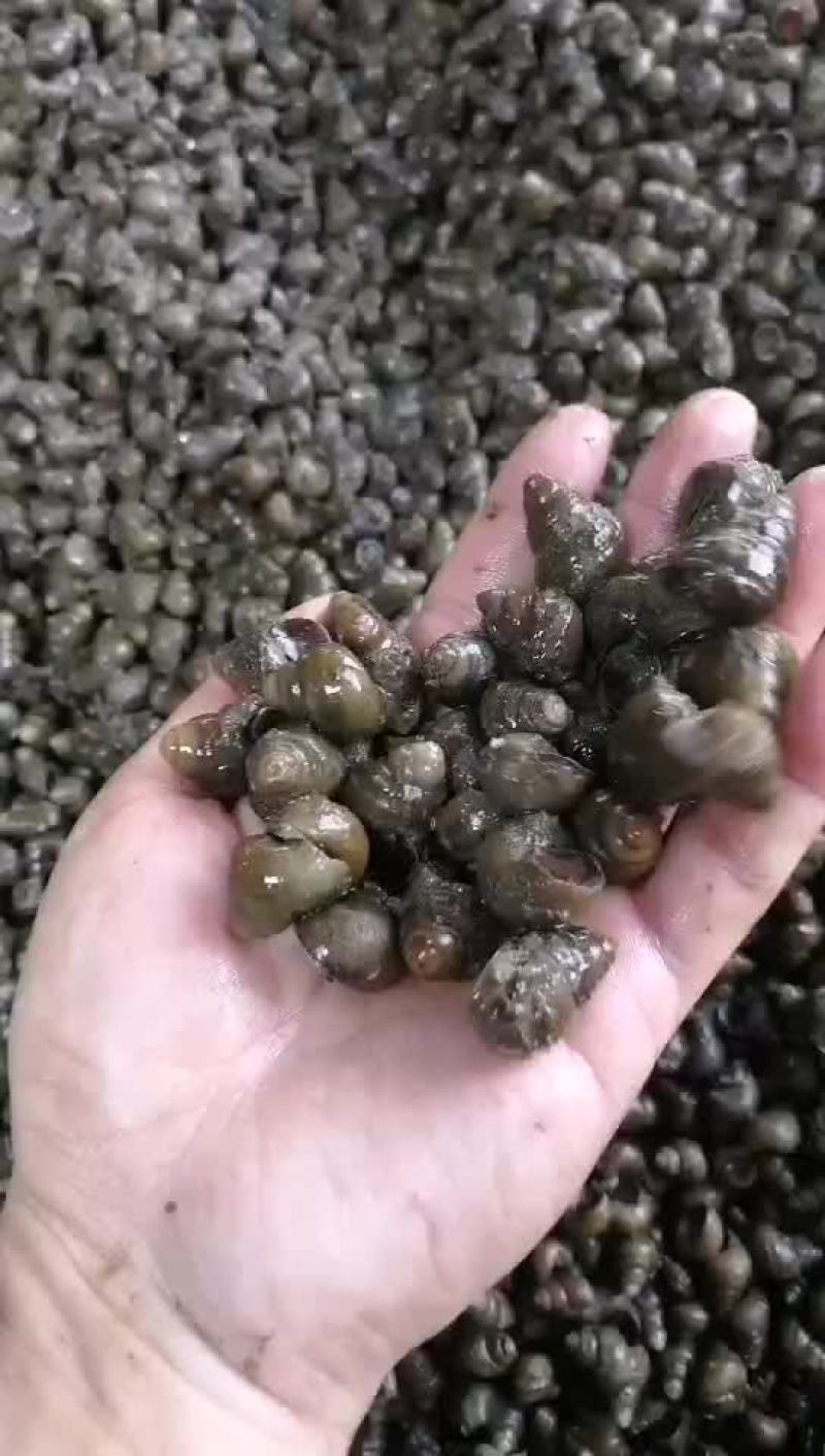 大量供应各种规格优质螺丝