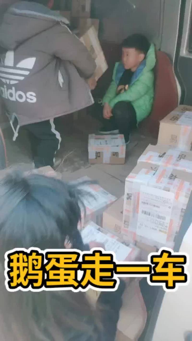 6枚农家散养新鲜土鹅蛋一件代发全国包邮育婴孕妇老年人辅食