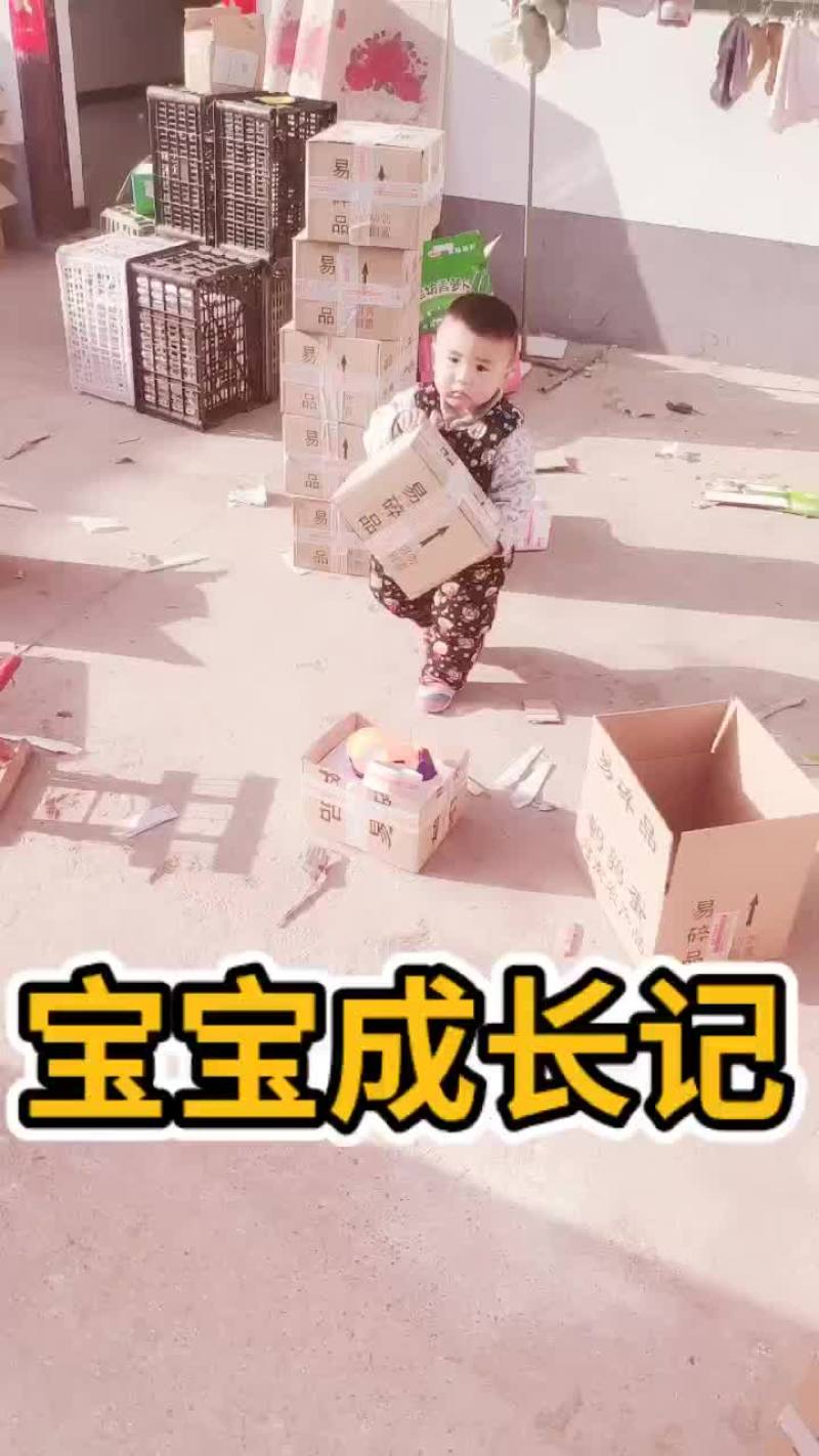 6枚农家散养新鲜土鹅蛋一件代发全国包邮育婴孕妇老年人辅食