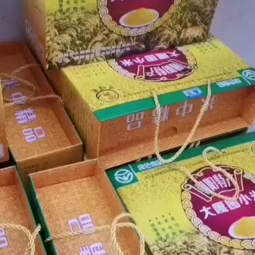 朝阳毛毛谷小米，当年新米，老品种