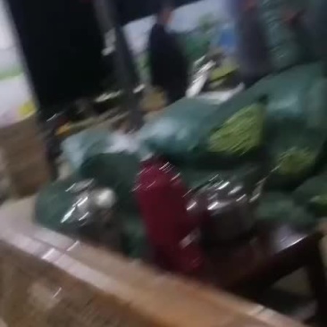 无劲豆