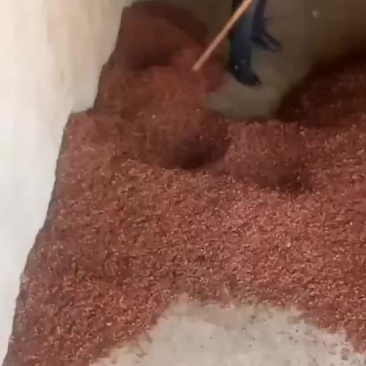 产地直销，价格合适，诚信第一
