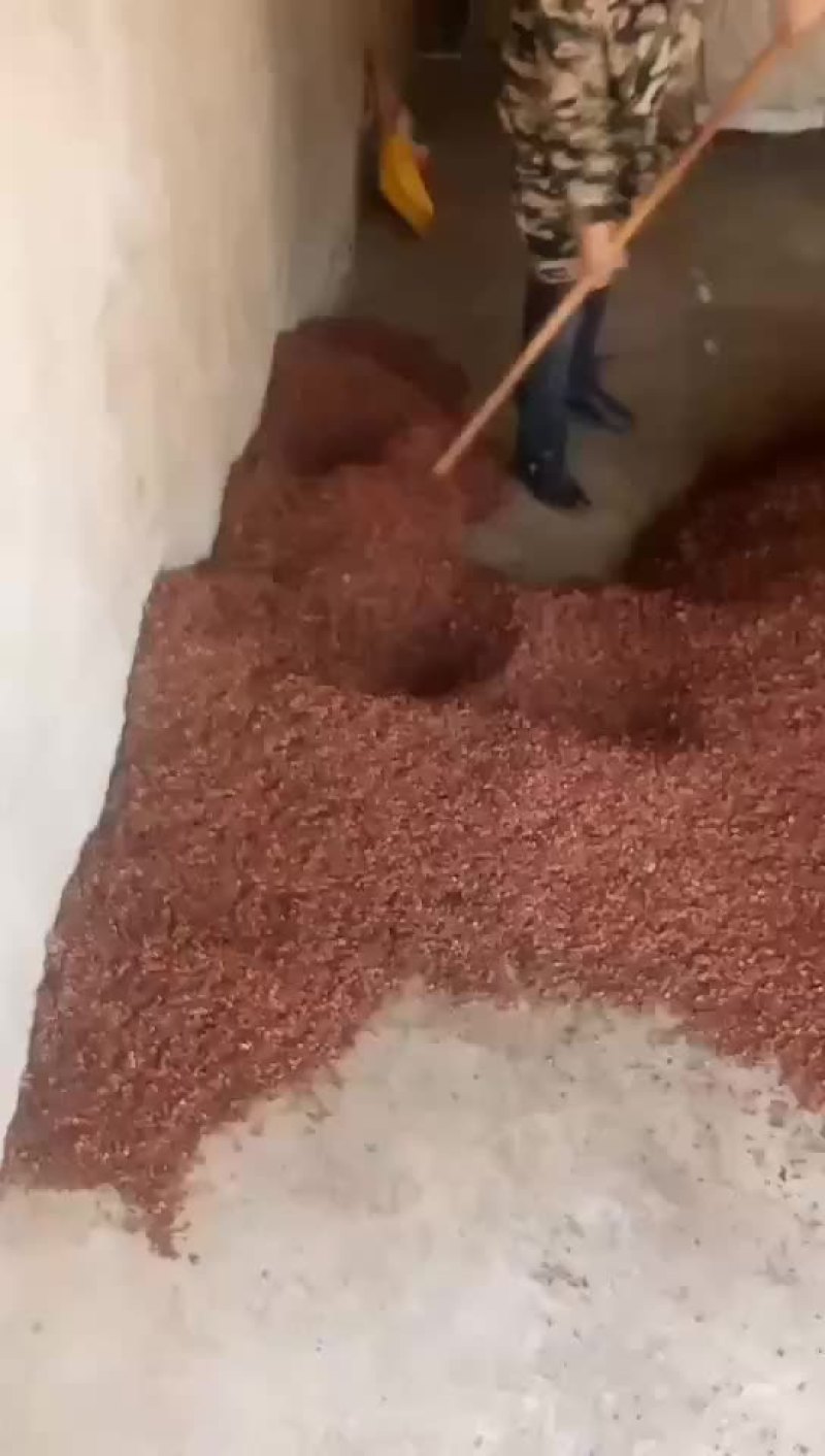 产地直销，价格合适，诚信第一