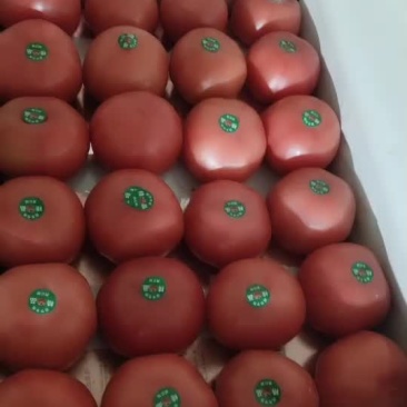 远达菜业
