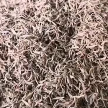 野生红茶【头采紅茶、湯如琥珀、如啖桂圓】