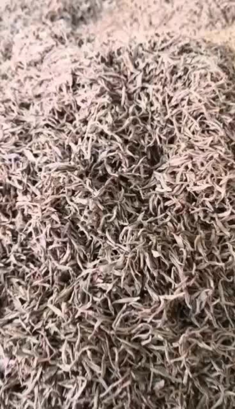野生红茶【头采紅茶、湯如琥珀、如啖桂圓】