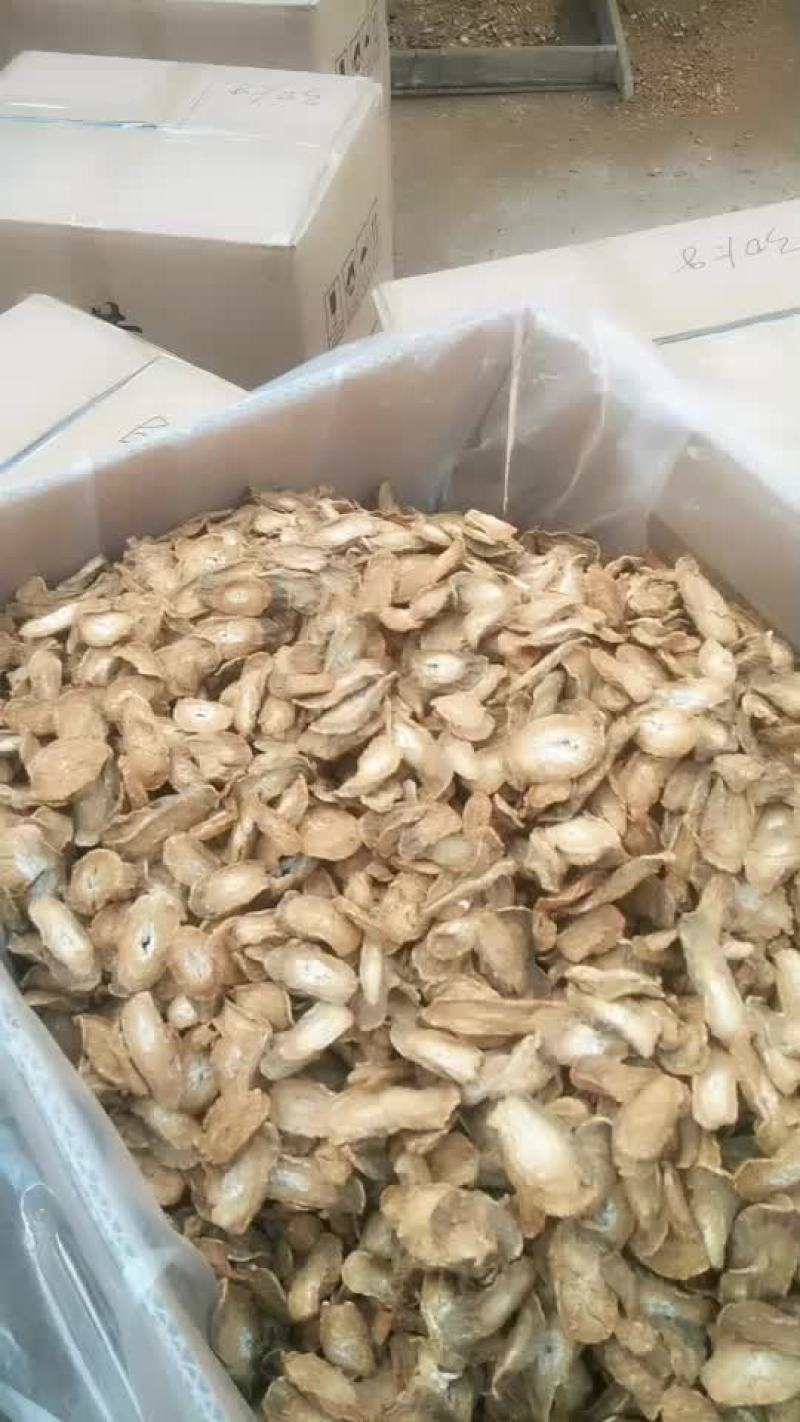 产地一手货源，大量供应牛蒡茶