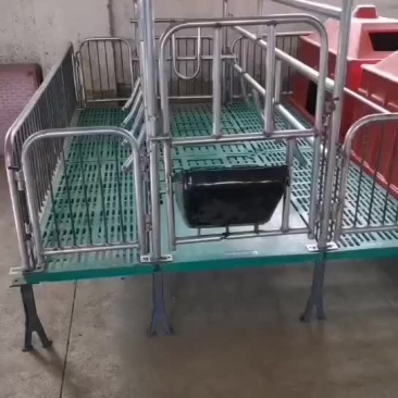 母猪双体产床