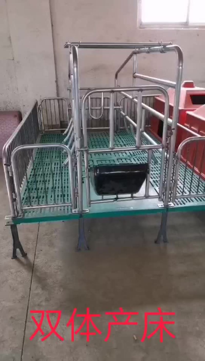 母猪双体产床