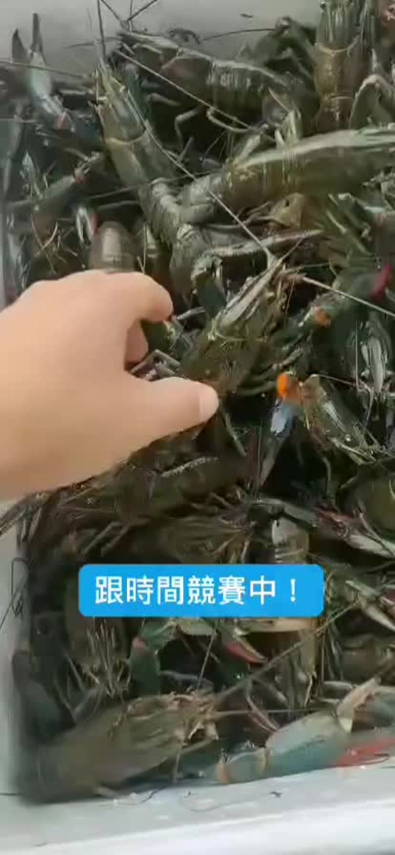 小龙虾