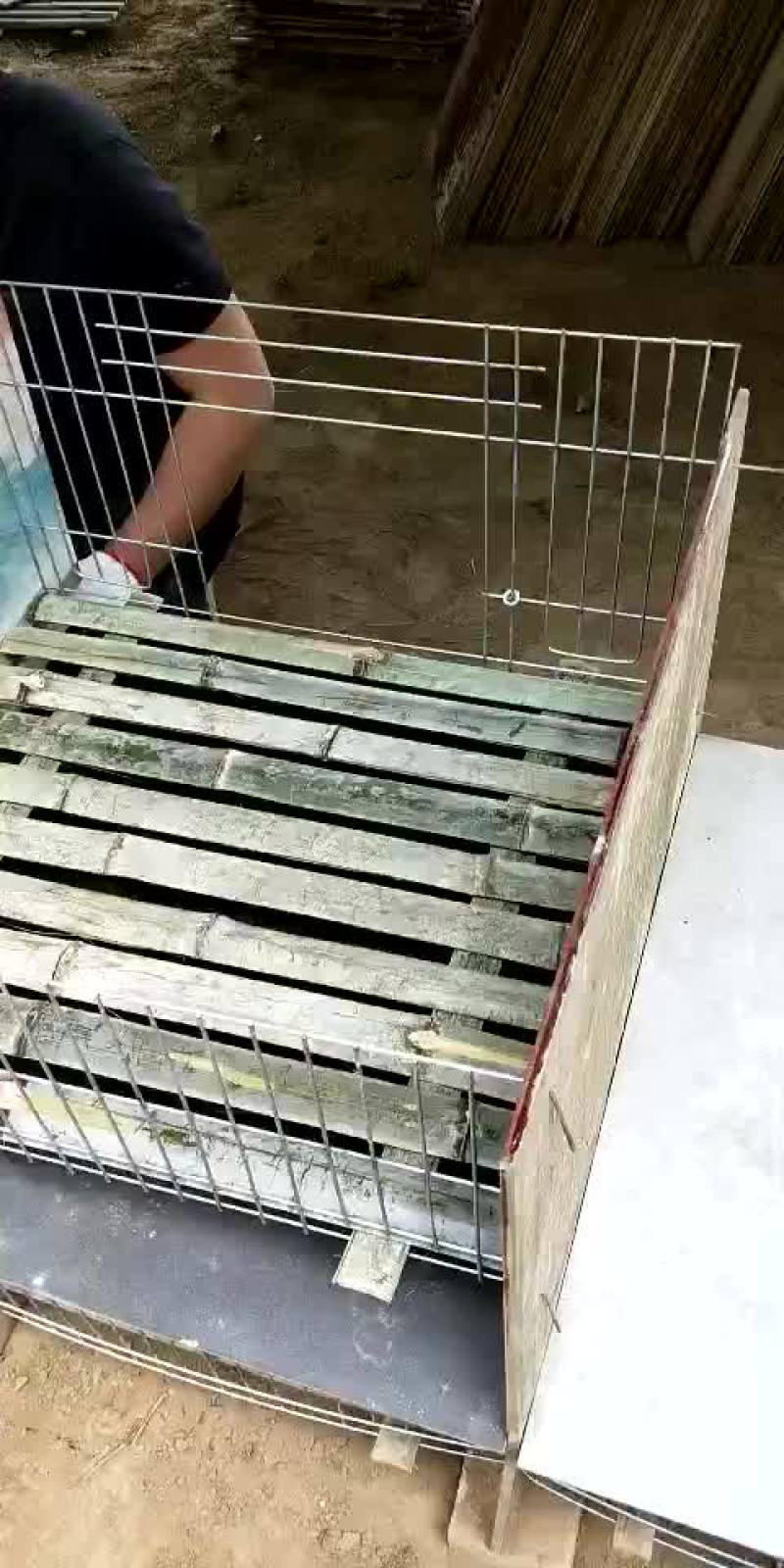 兔笼
