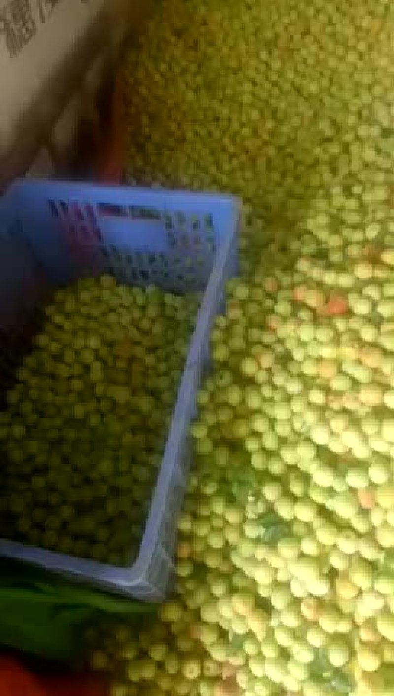 大青梅，红心白梅，白梅子