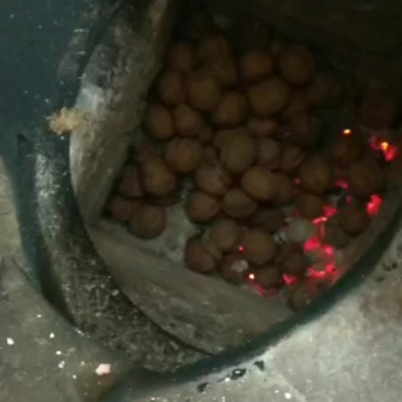 核桃