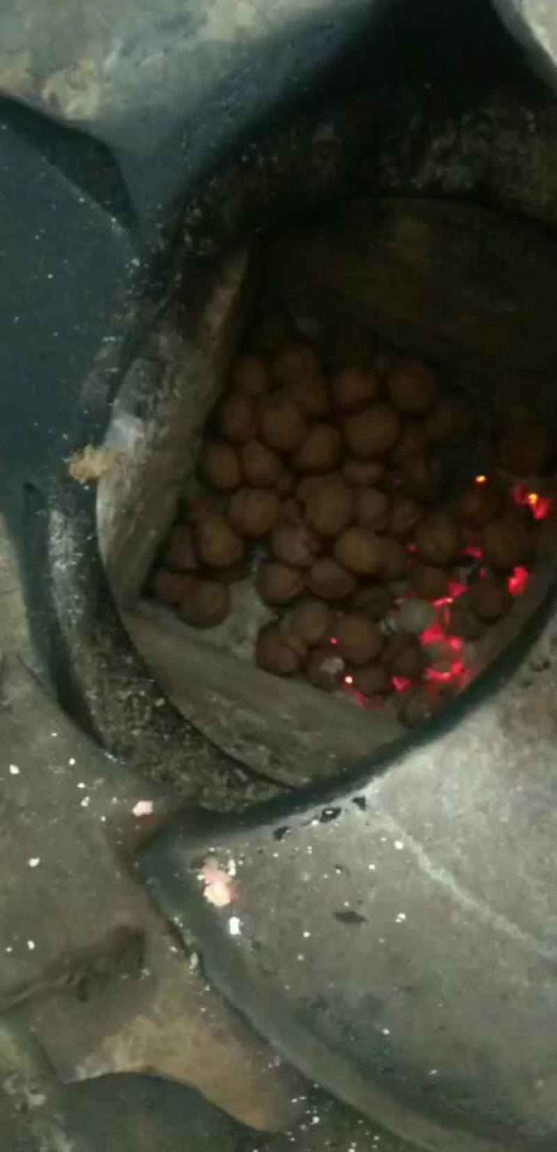 核桃