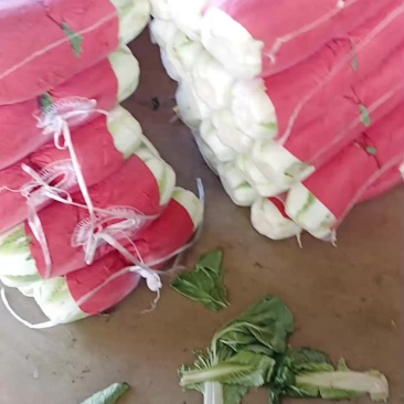 白菜降价